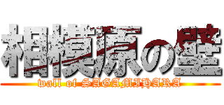相模原の壁 (wall of SAGAMIHARA)