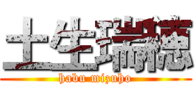 土生瑞穂 (habu mizuho)