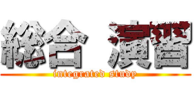 総合 演習 (integrated study)