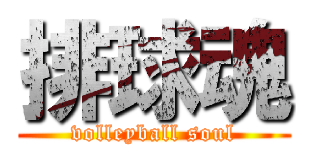 排球魂 (volleyball soul)