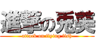 進撃の兎美 (attack on flying fish)