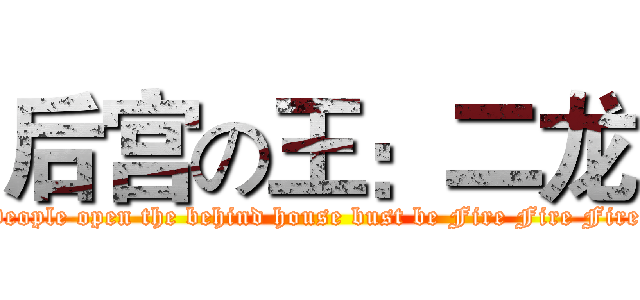 后宫の王：二龙 (People open the behind house bust be Fire Fire Fire )