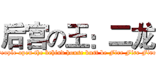 后宫の王：二龙 (People open the behind house bust be Fire Fire Fire )