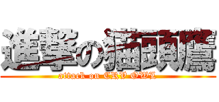 進撃の猫頭鷹 (attack on CRV OWL)
