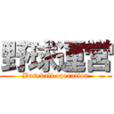 野球運営 (Baseball operation)