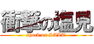 衝撃の塩見 (shock on SALT)