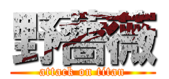 野薔薇 (attack on titan)