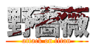野薔薇 (attack on titan)