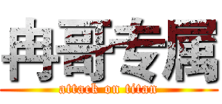 冉哥专属 (attack on titan)