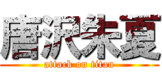 唐沢朱夏 (attack on titan)