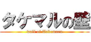 タケマルの壁 (wall of Takemaru)