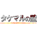 タケマルの壁 (wall of Takemaru)