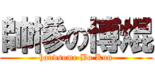 帥慘の博焜 (handsome Bo Kun)