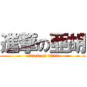 進撃の亜胡 (attack on titan)