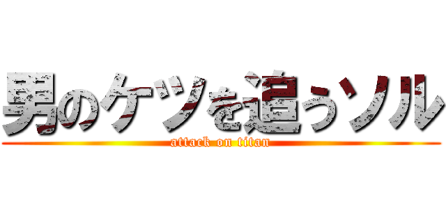 男のケツを追うソル (attack on titan)