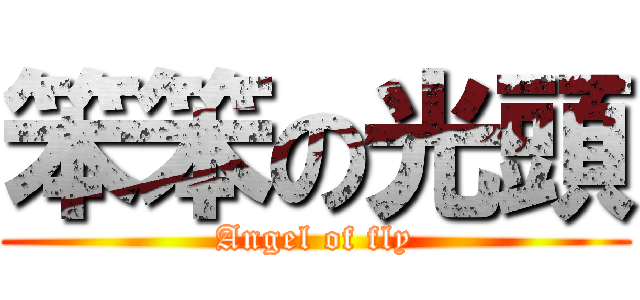 笨笨の光頭 (Angel of fly)