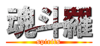 魂斗羅 (spirits)
