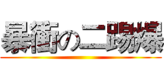 暴衝の二踢爆 ()