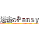 进击のＰａｎｓｙ (attack on pansy)