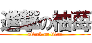 進撃の柚苺 (attack on titan)