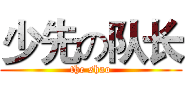 少先の队长 (the shao)