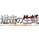 进击の生蚝 (attack on shenghao)