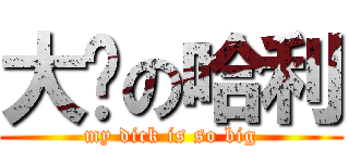 大屌の哈利 (my dick is so big)