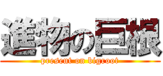 進物の巨根 (present on bigroot)