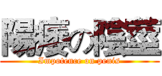 陽痿の陰莖 (Impotence on penis)