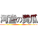河童の黄瓜 ()