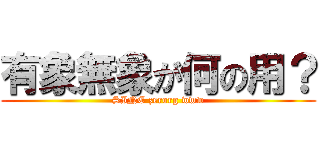 有象無象が何の用？ (SINE zerorg www)