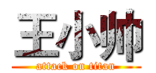 王小帅 (attack on titan)
