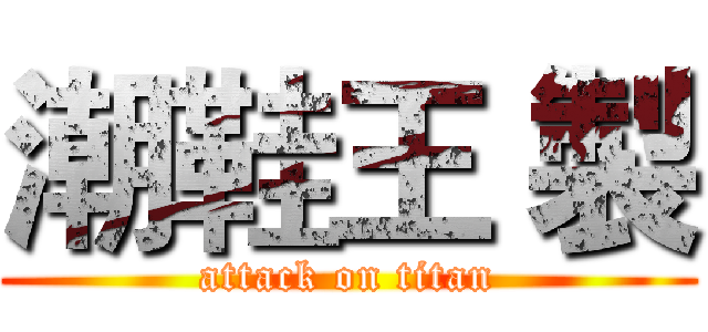 潮鞋王 製 (attack on titan)
