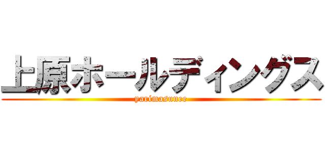 上原ホールディングス (yarimasunee)