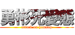 勇彬死變態 (attack on hamsap)