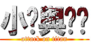 小貓與傻貓 (attack on titan)