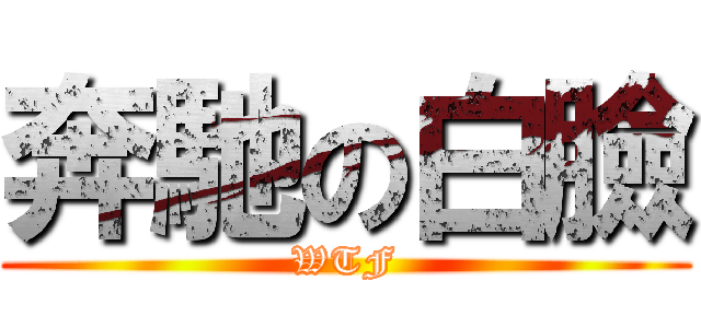 奔馳の白臉 (WTF)