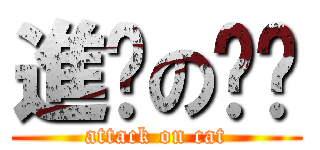 進擊の貓咪 (attack on cat)