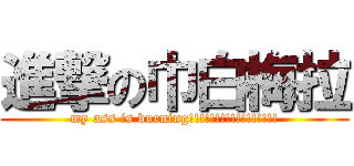 進撃の巾白梅拉 (my ass is burning!!!!!!!!!!!!!!!!!)