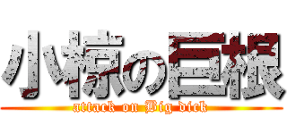 小椋の巨根 (attack on Big dick)