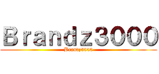 Ｂｒａｎｄｚ３０００ (Brandz3000)