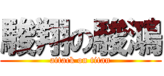 駿翔の駿鴻 (attack on titan)