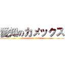 愛知のカメックス (Kamekkusu of Aiti)