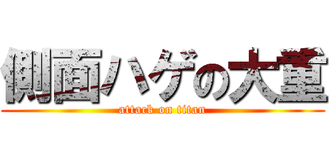 側面ハゲの大重 (attack on titan)