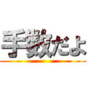 手数だよ ()