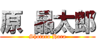 原 晶太郎 (Shotaro Hara)