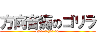 方向音痴のゴリラ (this is gorira.)