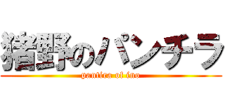 猪野のパンチラ (pantira of ino)