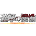 進撃の椀愉 (attack on wanyu)