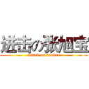 进击の张旭宝 (attack on baobao)